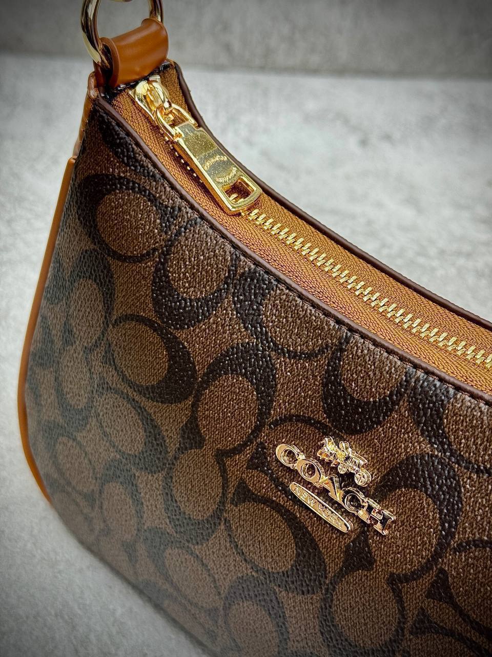 'C -Teri Shoulder