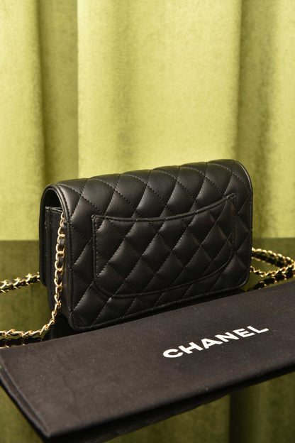 Wallet On Chain