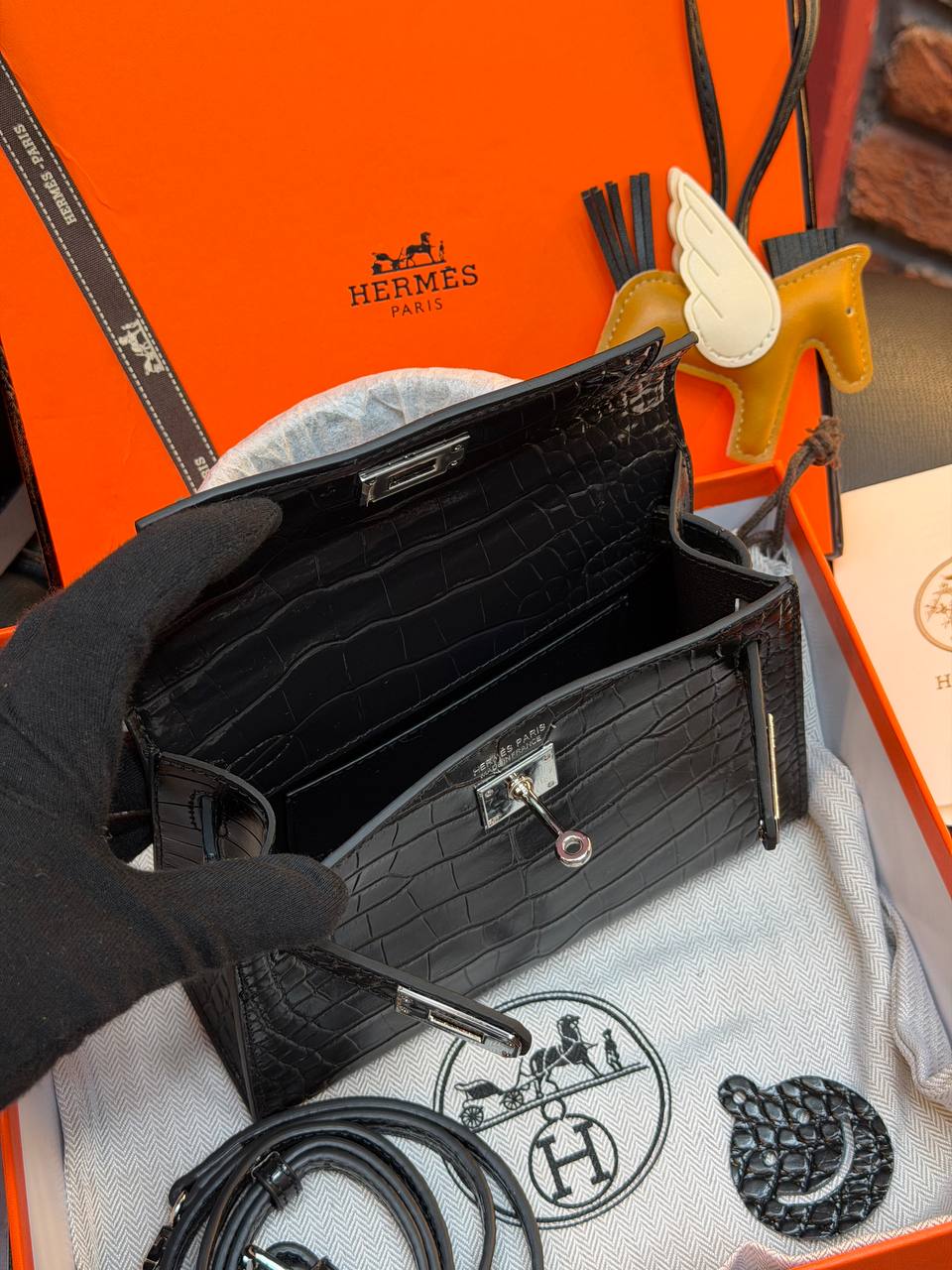 '- Kelly 19 - (Video)