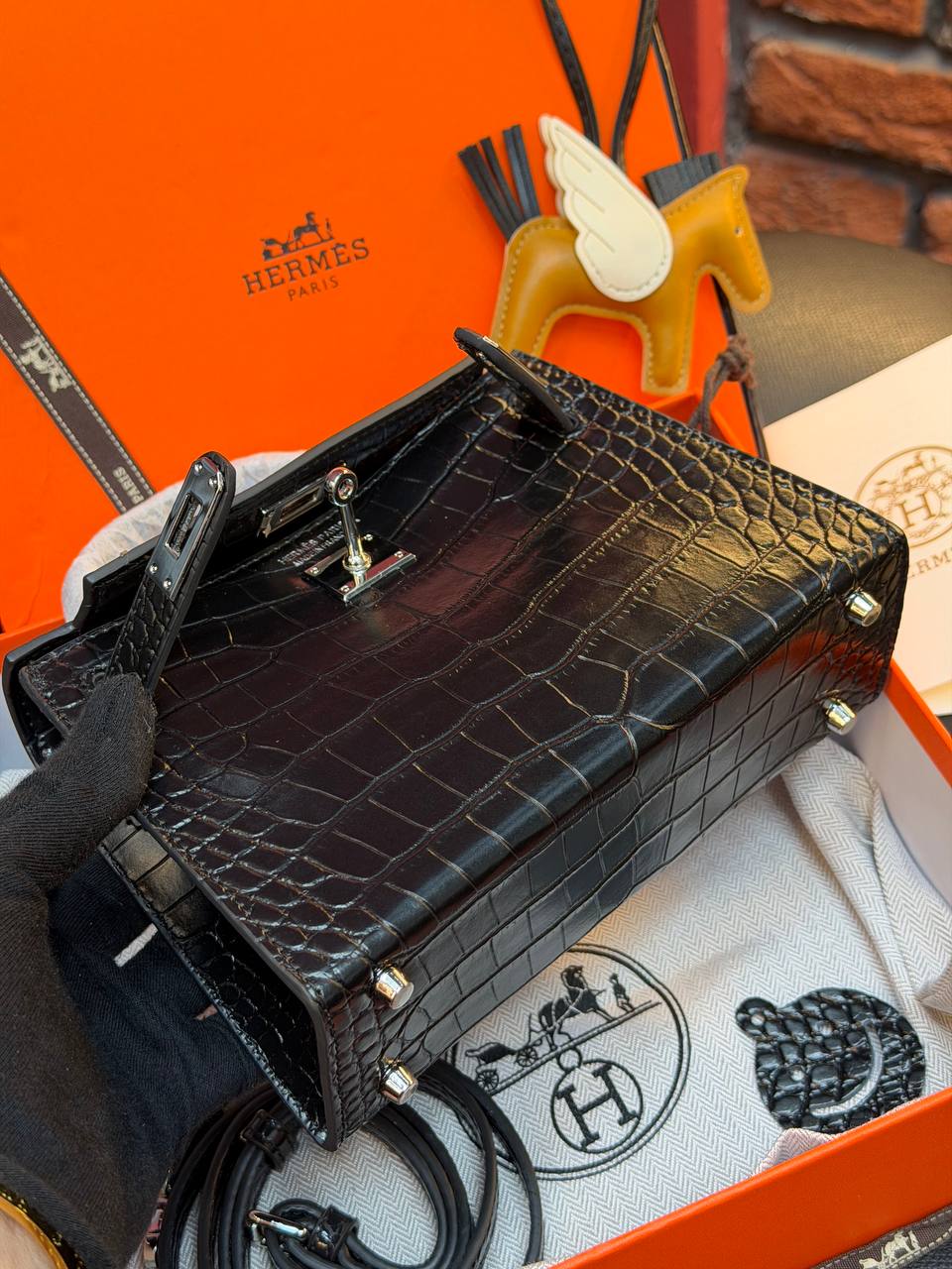 '- Kelly 19 - (Video)