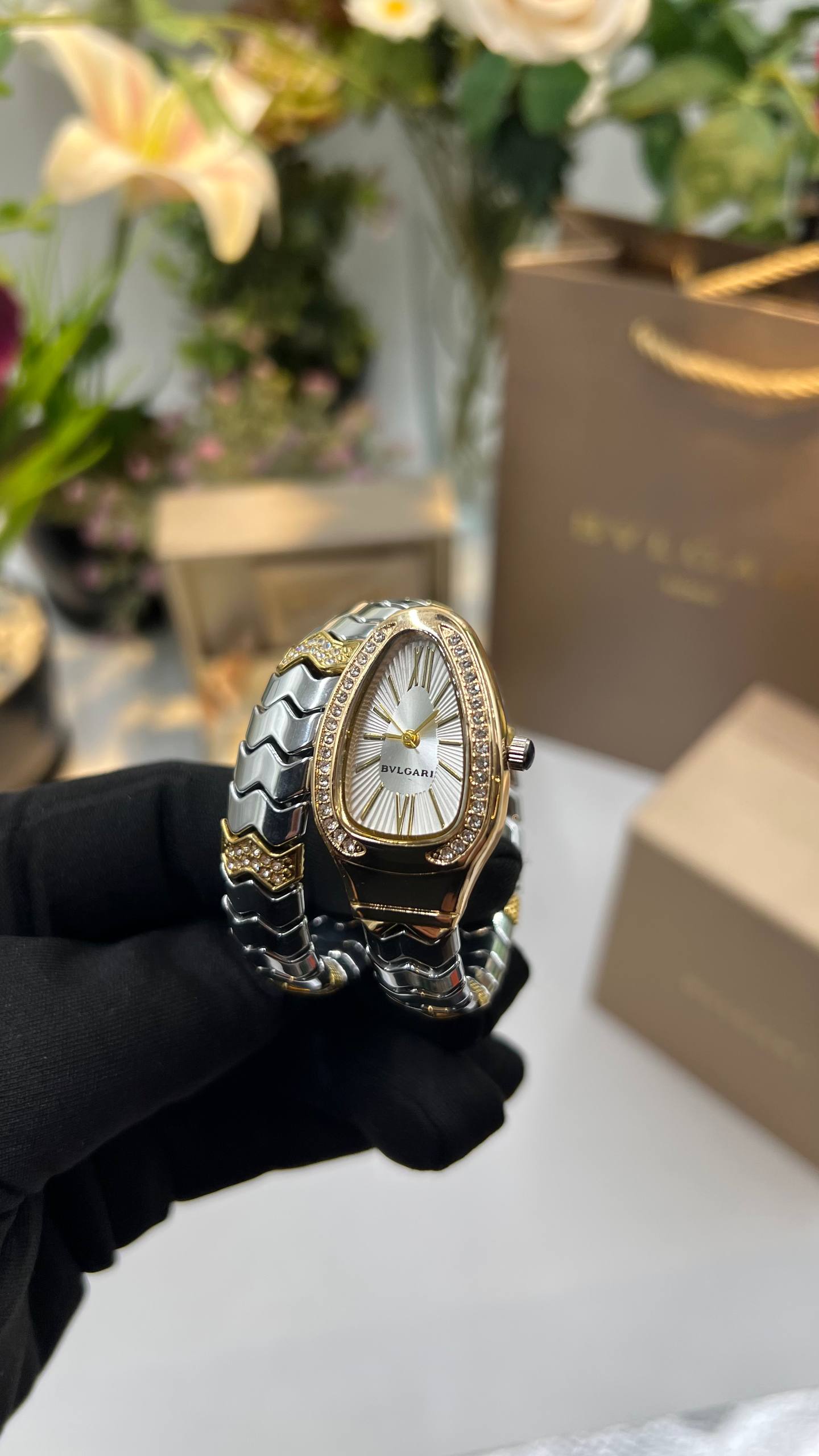 BVIGARl - Watch